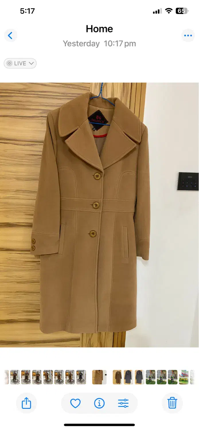 پالتو|لباس|شیراز, ارم|دیوار