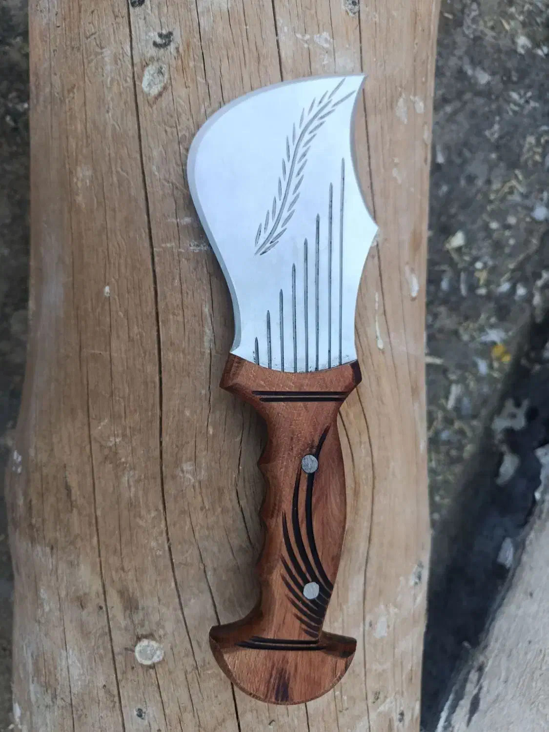 چاقو کپوری|ظروف پختوپز|برخوار, |دیوار