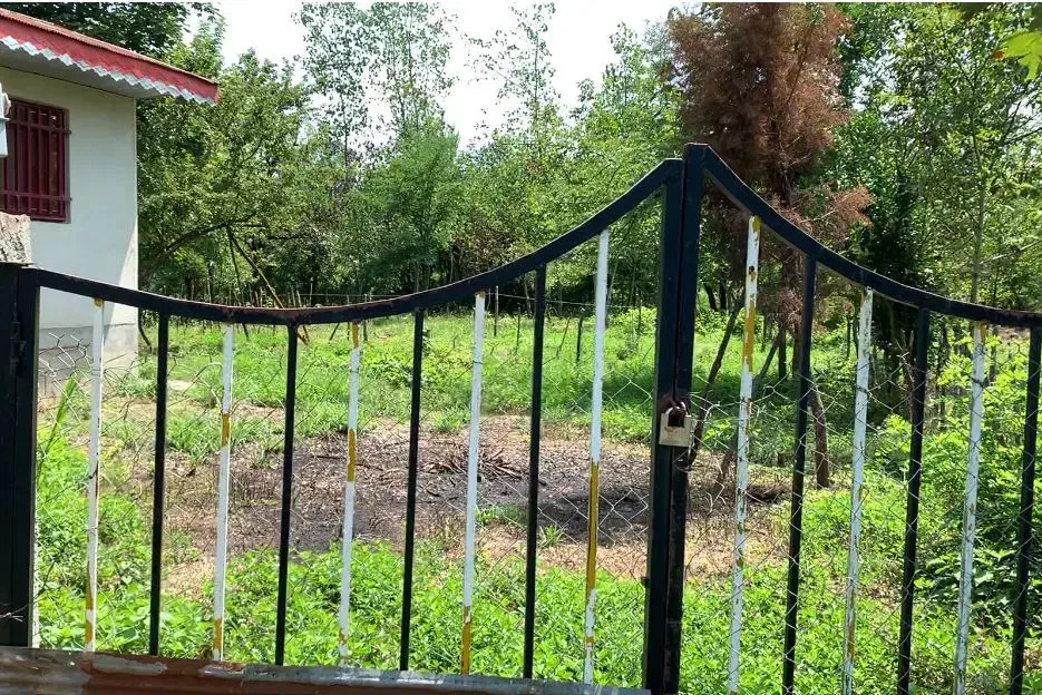 فروش ۸۰۰ متر زمین با مجوز ساخت و سوییت ۴۰ متری|فروش زمین و ملک کلنگی|سیاهکل, |دیوار