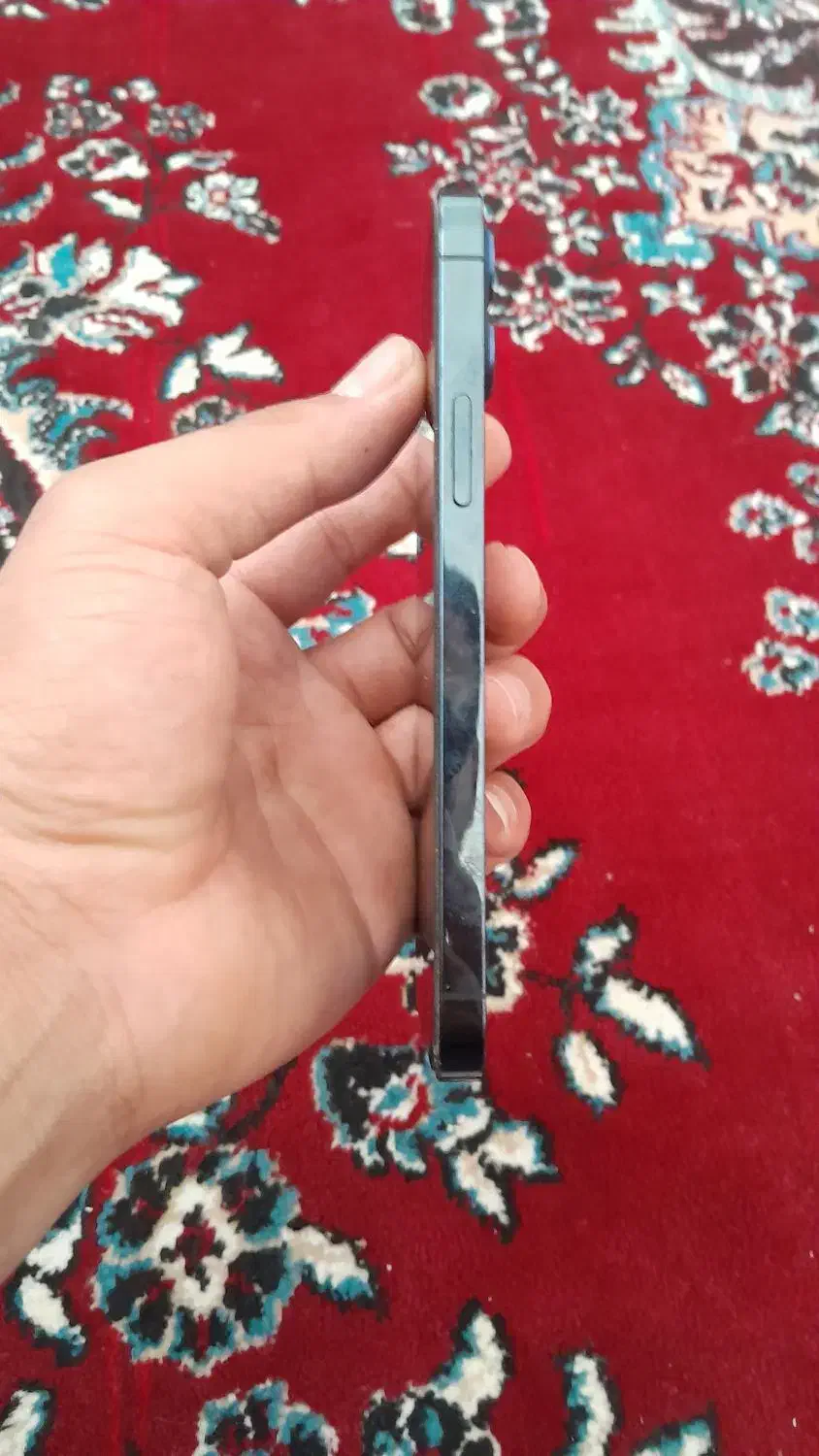 اپل iPhone 12 Pro با حافظهٔ ۲۵۶ گیگابایت|موبایل|مرودشت, گندم‎|دیوار