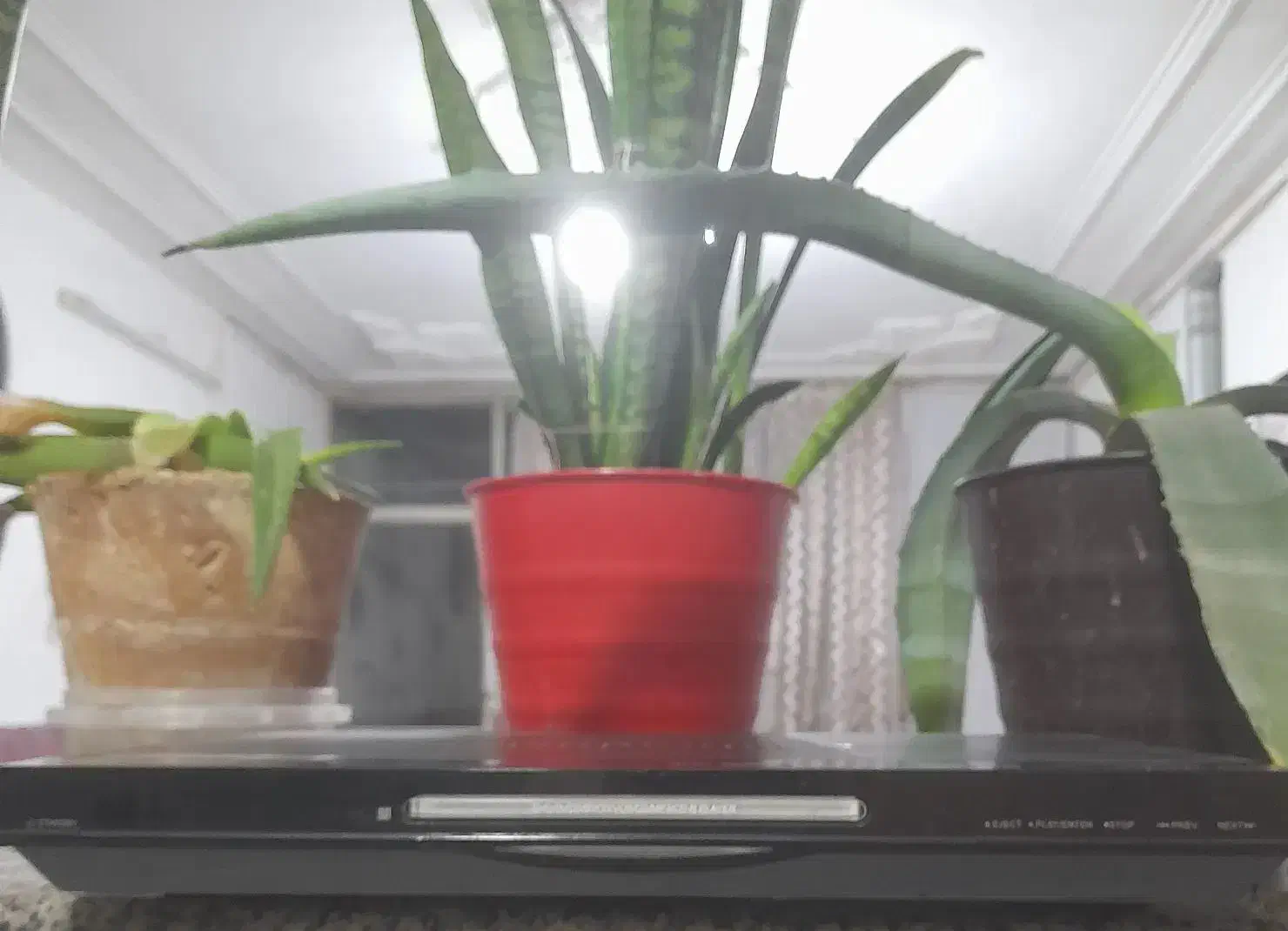 دی وی دی ودستگاه گیرنده|پخش‌کننده DVD و ویدیو|اصفهان, عمان سامانی|دیوار