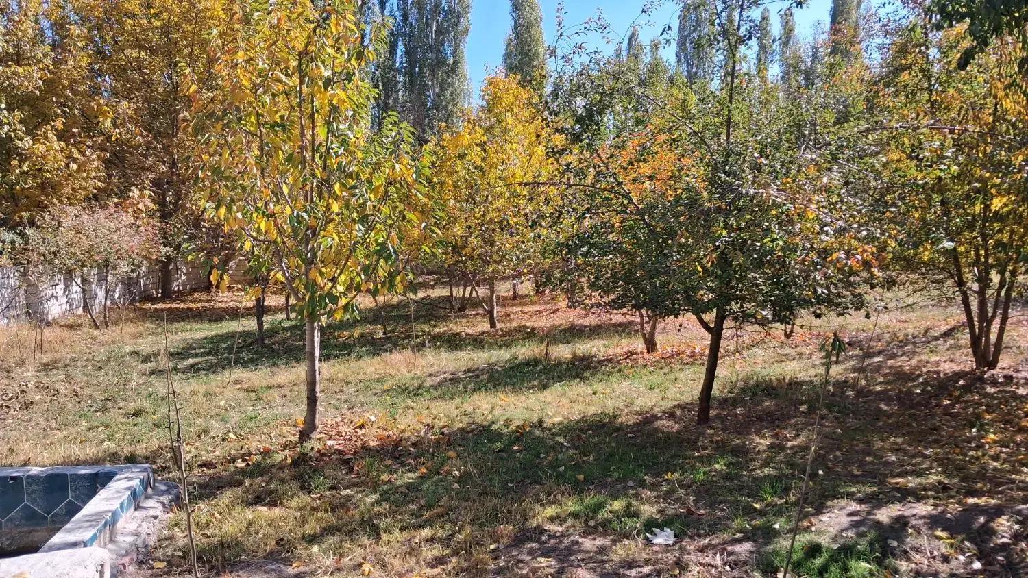 فروش باغ|فروش خانه و ویلا|فیرورق, |دیوار