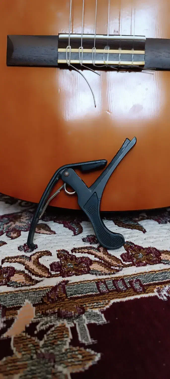 گیتار c40|گیتار، بیس، امپلیفایر|پیشوا, |دیوار