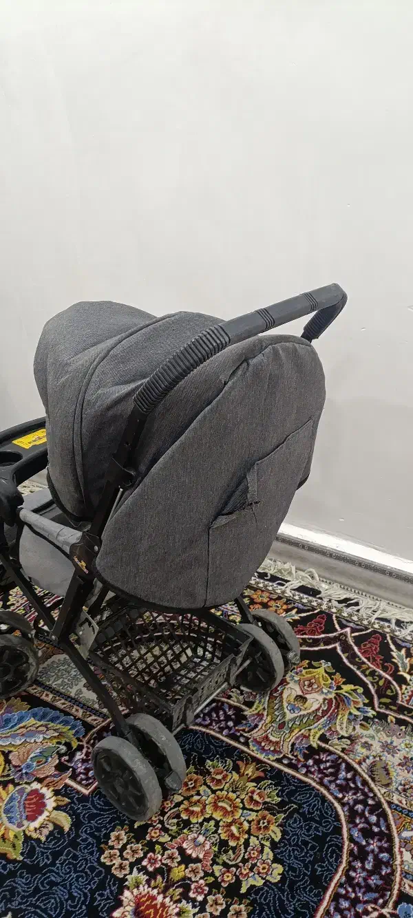 کالسکه دلیجان|کالسکه و لوازم جانبی|اهواز, کمپلو جنوبی|دیوار