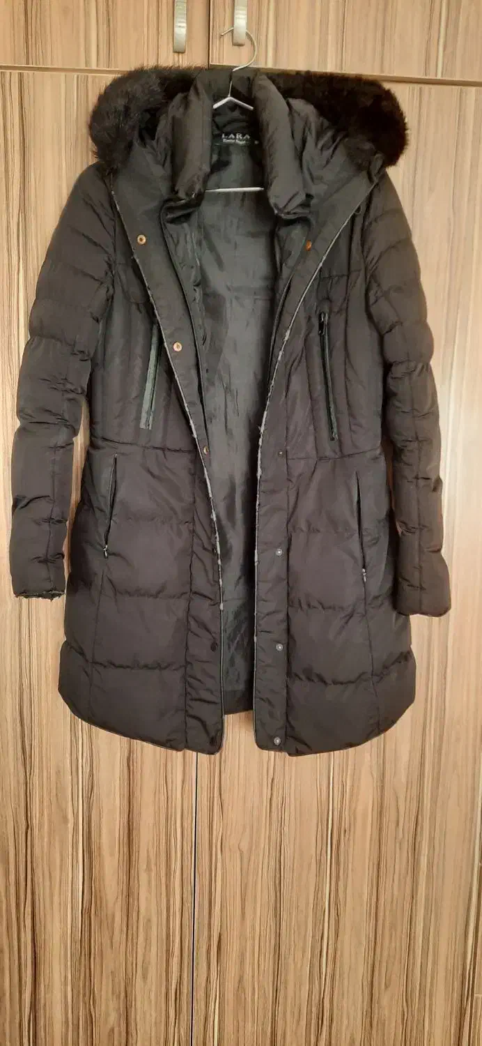 کاپشن ، پالتو، بارانی،مانتو|لباس|صوفیان, |دیوار