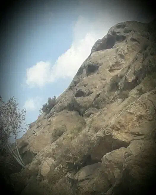 راهنمای تفریحی|فعالیت داوطلبانه|رویان, |دیوار