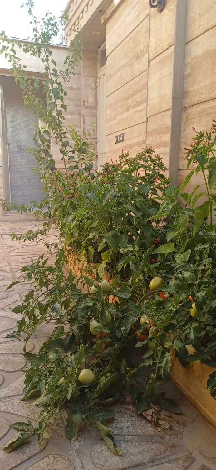 ساختمان نظام مهندسی،اسکلت بتون ،لوکس وفول|فروش خانه و ویلا|نهاوند, |دیوار