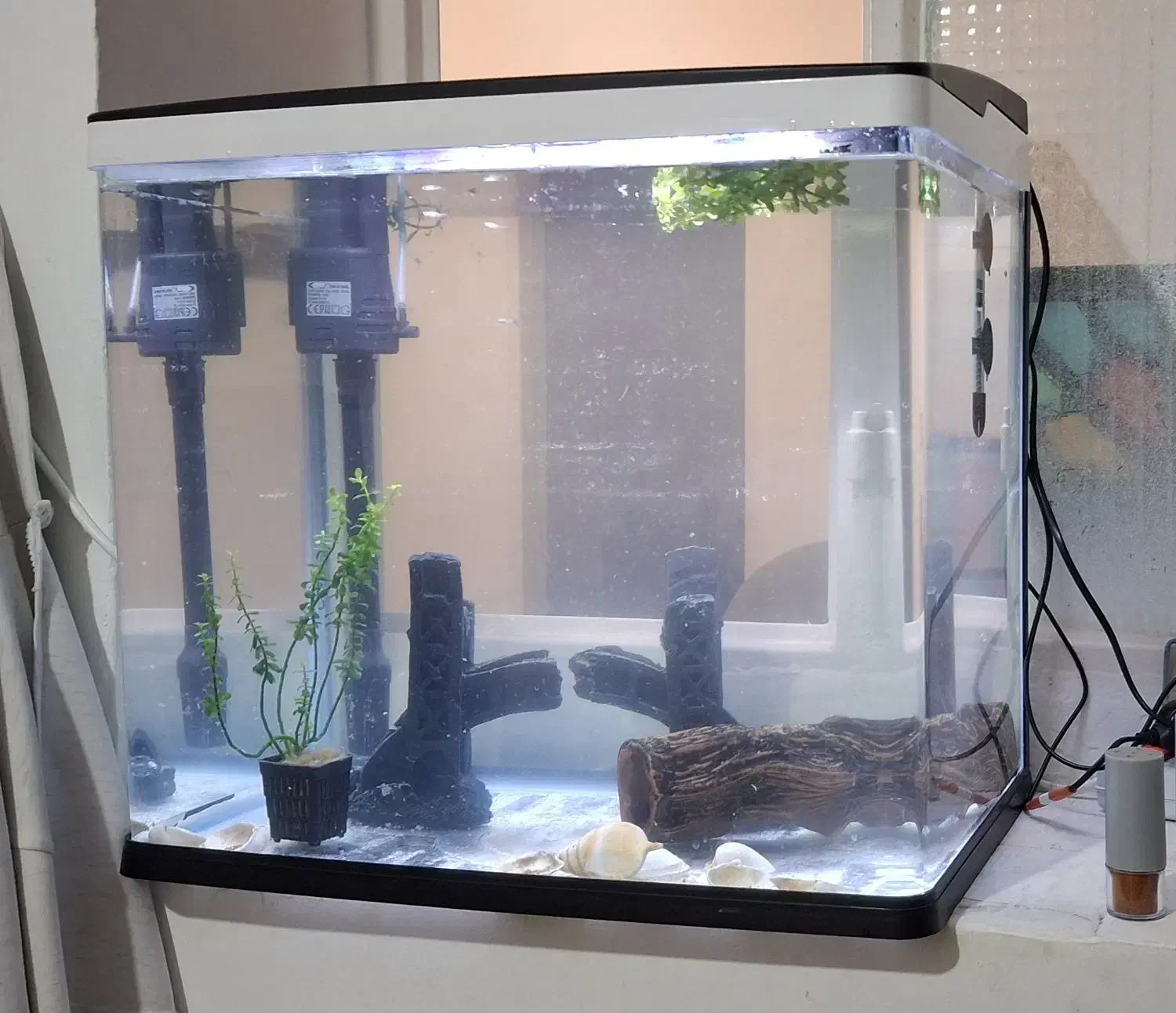 آکواریوم دلسا k500|ماهی|آبیک, |دیوار