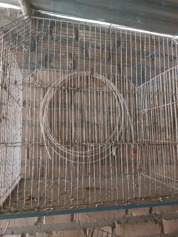 مقداری قفس پرنده برا فروش دارم|لوازم جانبی حیوانات|دزفول, |دیوار