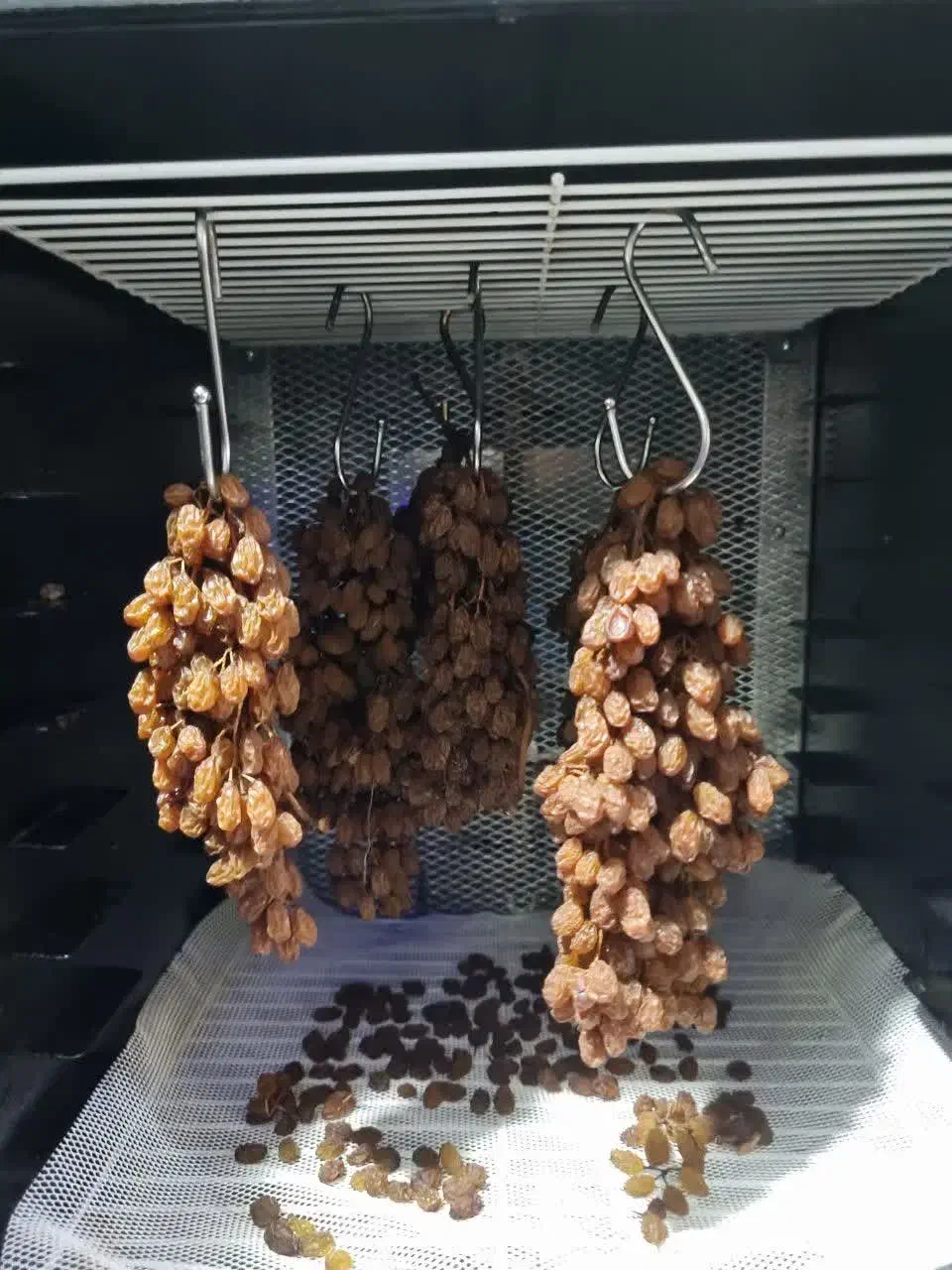 میوه خشک کن صنعتی ۱۰ و ۳۰ و ۵۰ کیلویی تراشه|ماشینآلات صنعتی|شیراز, درکی|دیوار