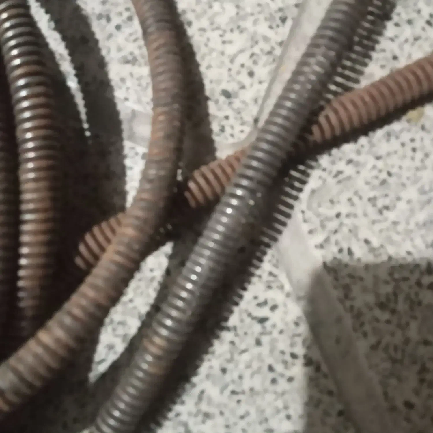 سی دی دی وی دی|پخش‌کننده DVD و ویدیو|مشهد, همت آباد|دیوار