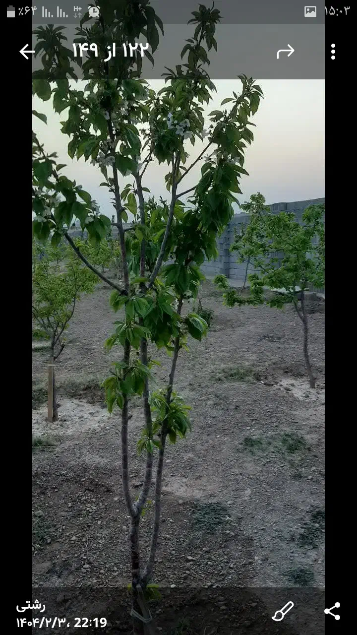 فروش باغ۱۰۰۰ متری نزدیک تبریزقابل تهاتر|فروش خانه و ویلا|صوفیان, |دیوار