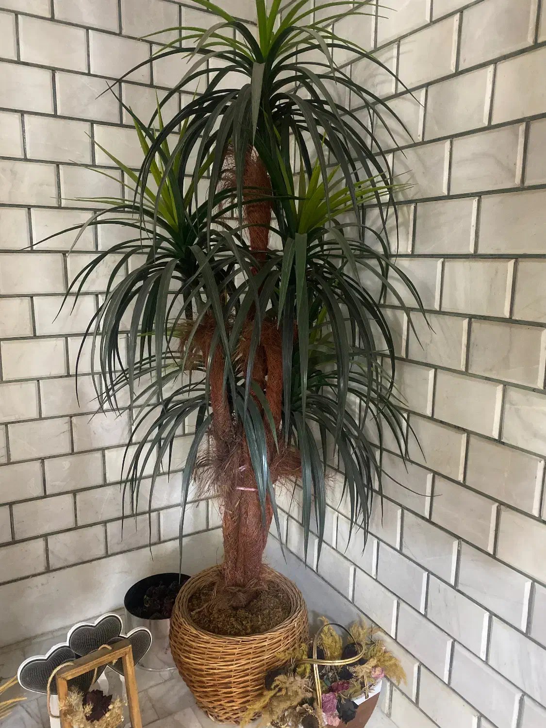 درختچه مصنوعی|گل مصنوعی|قم, مهدیه|دیوار