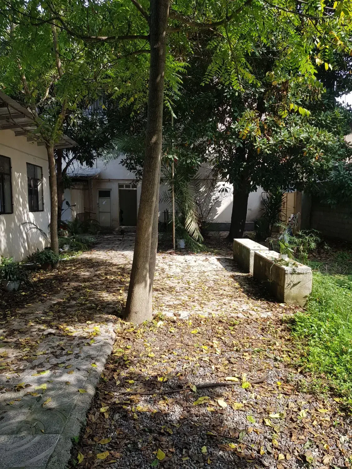 اجاره ملک تجاری/ بر خیابان جمهوری|اجارهٔ دفتر صنعتی، کشاورزی، تجاری|تنکابن, |دیوار