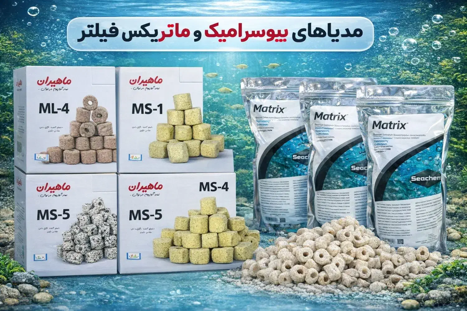 تخفیفات ویژه شب یلدا ماهی و لوازم|ماهی|مشهد, انقلاب|دیوار