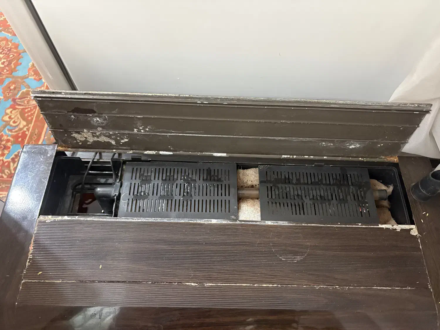 اکواریوم ماهیران|ماهی|تهران, حسن‌آباد|دیوار