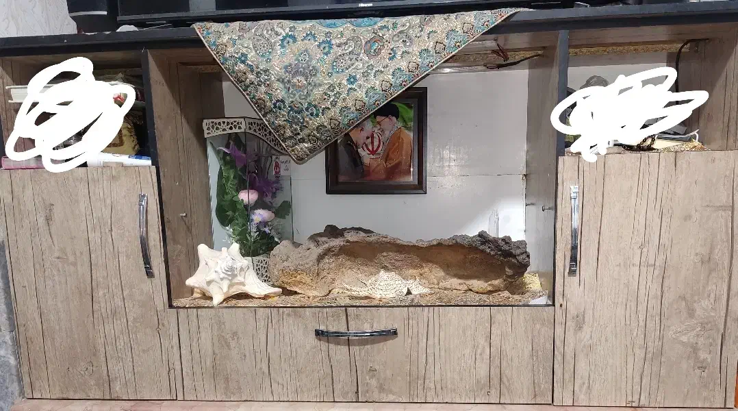 دکور تلویزیون|میز تلویزیون|انار, |دیوار