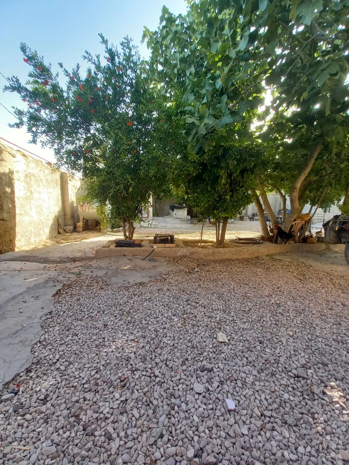 تصویر 12