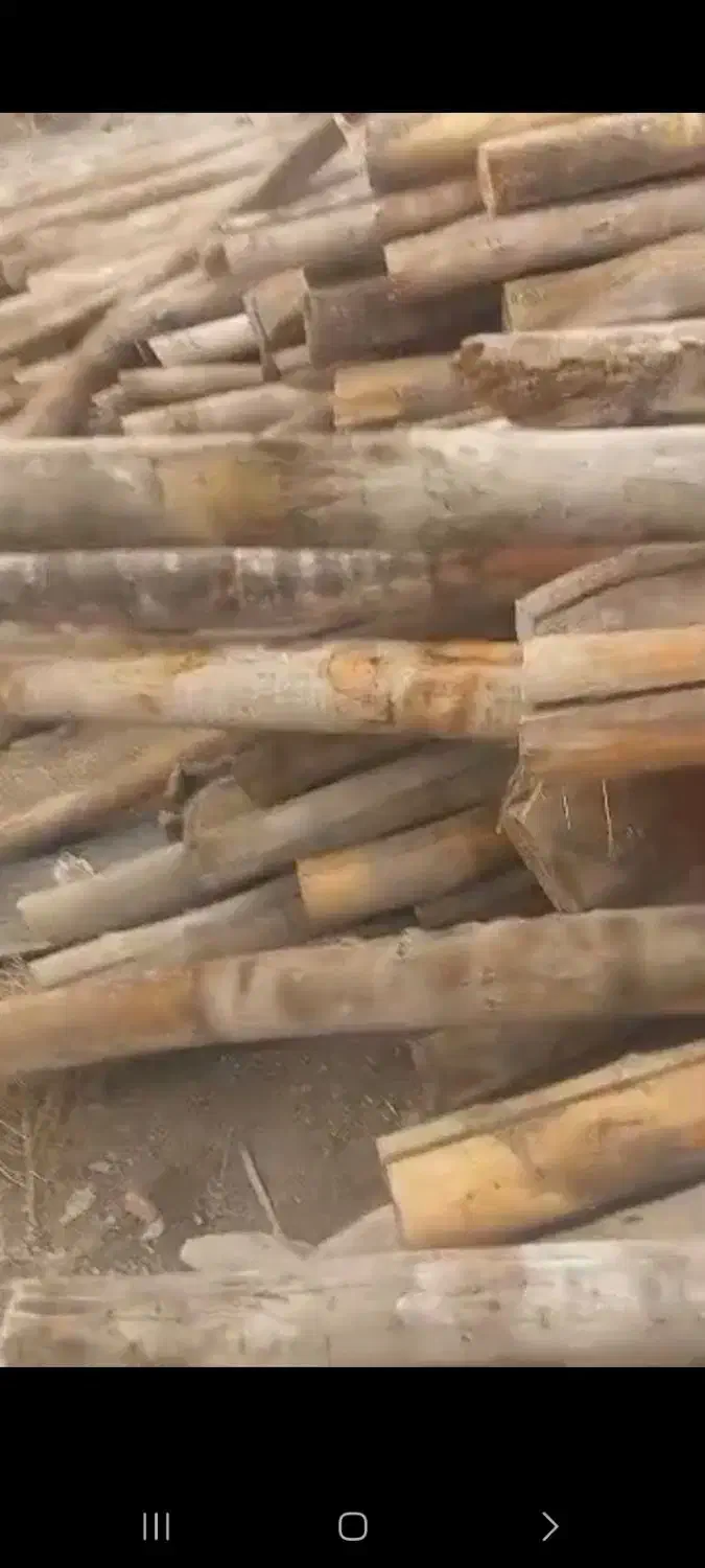 چوب|خدمات باغبانی و درختکاری|اقبالیه, |دیوار