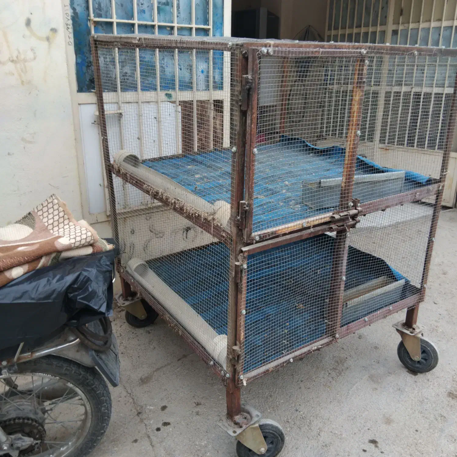 قفس بزرگ|حیوانات مزرعه|ایلام, |دیوار