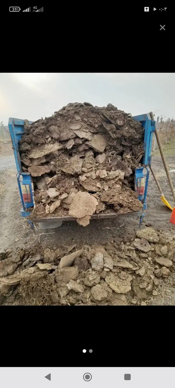 کود حیوانی گوسفند|خدمات باغبانی و درختکاری|نقده, |دیوار