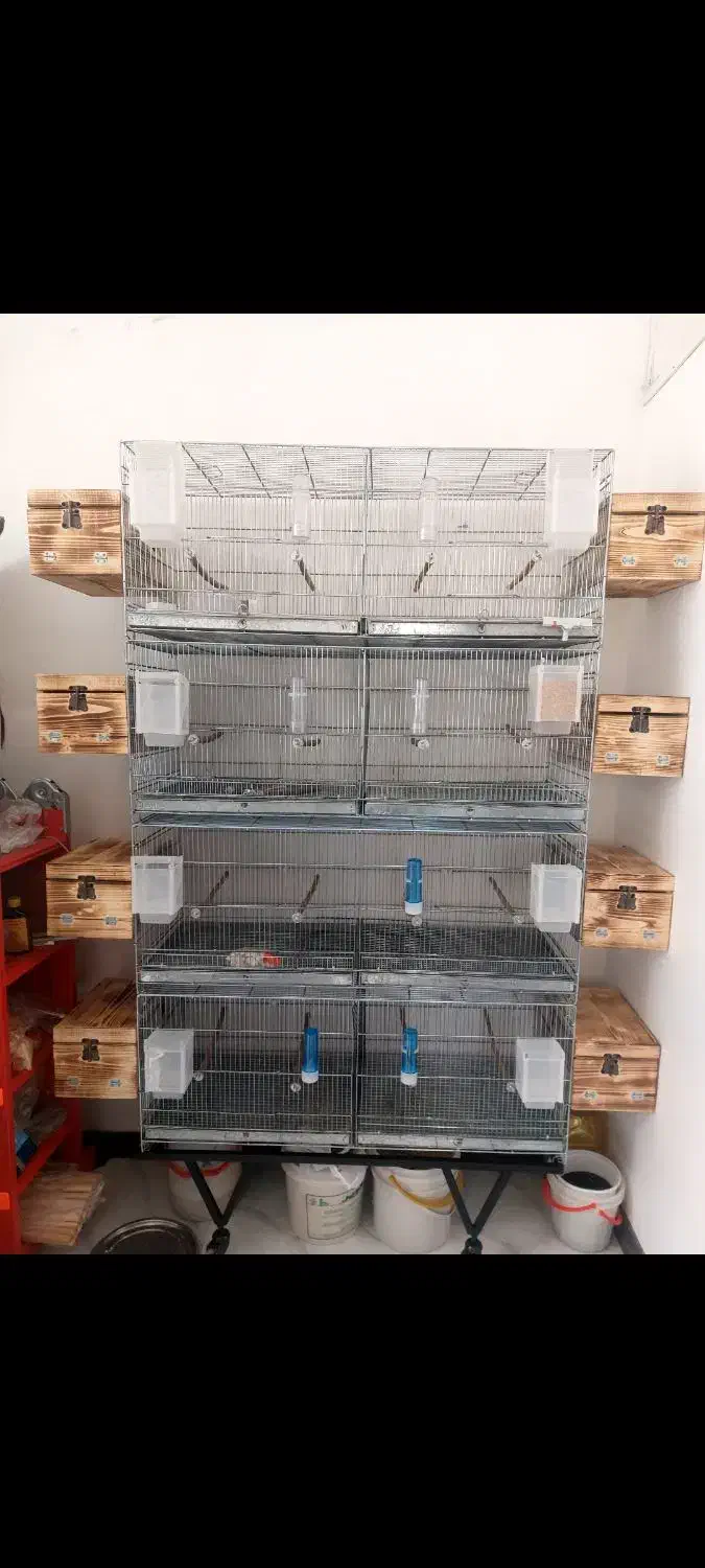 قفس پرون،قفس پژاوند 1033 قفس خورشیدی پایه قفس لانه|لوازم جانبی حیوانات|اندیشه, اندیشه فاز ۱|دیوار