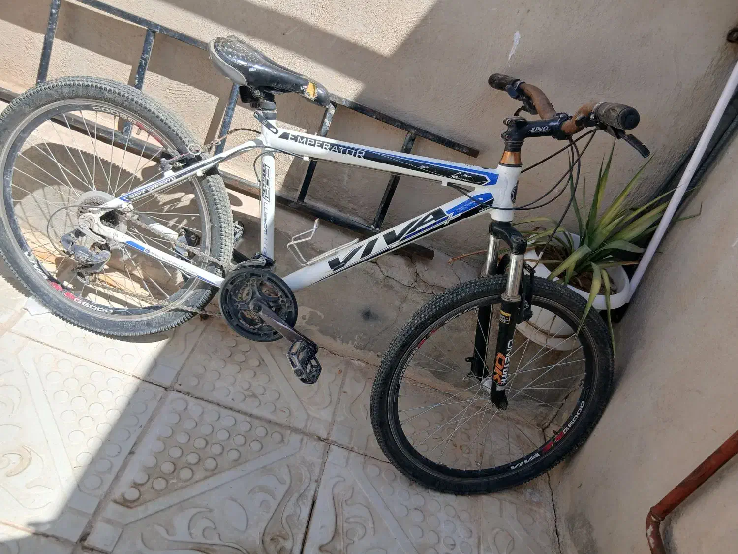 دوچرخه تمام آلمینیومی ویوا اصل|دوچرخه، اسکیت، اسکوتر|دهگلان, |دیوار