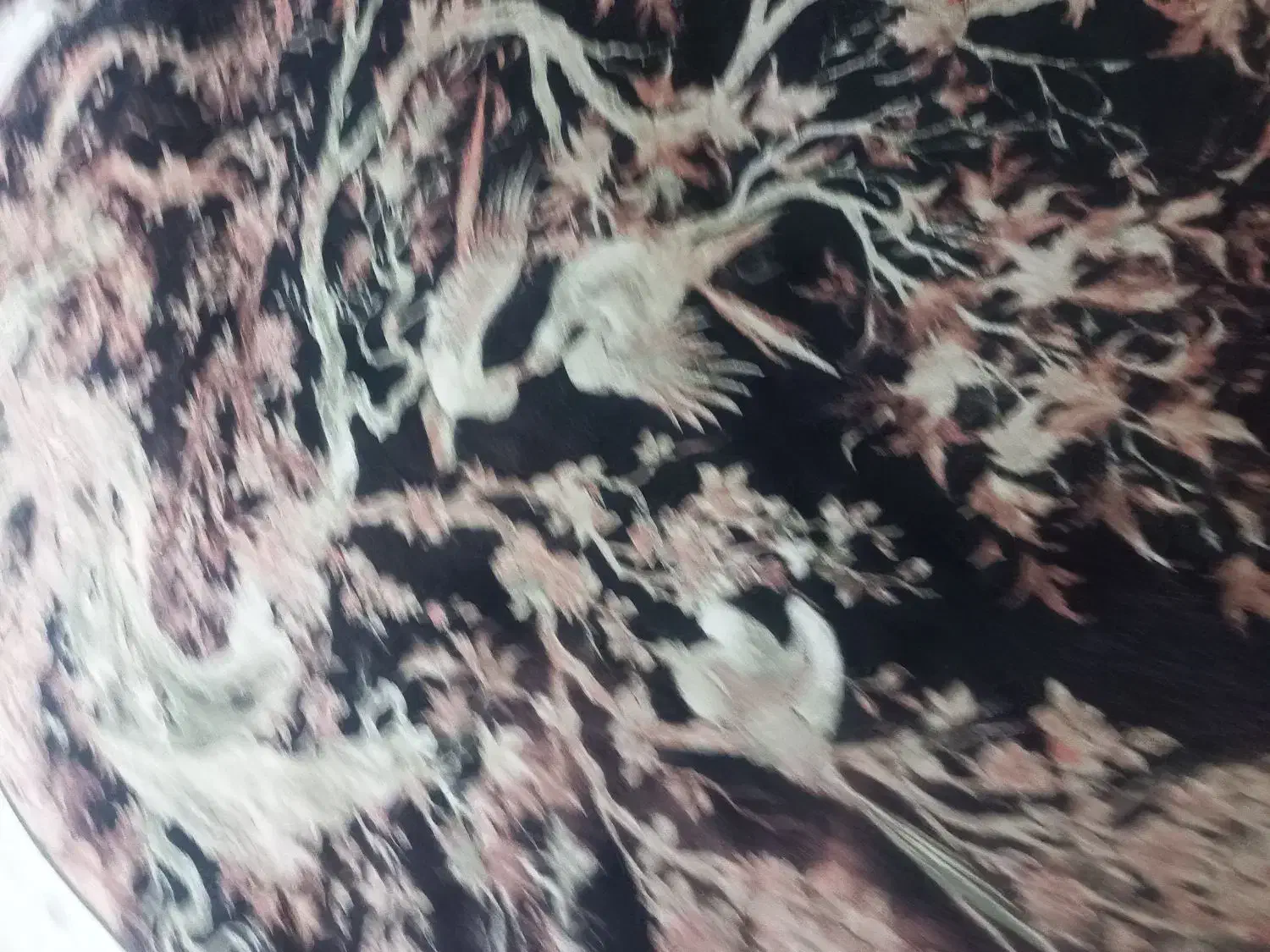 فرش ۱۲ متری|فرش|رشت, شهرک شهید مفتح|دیوار