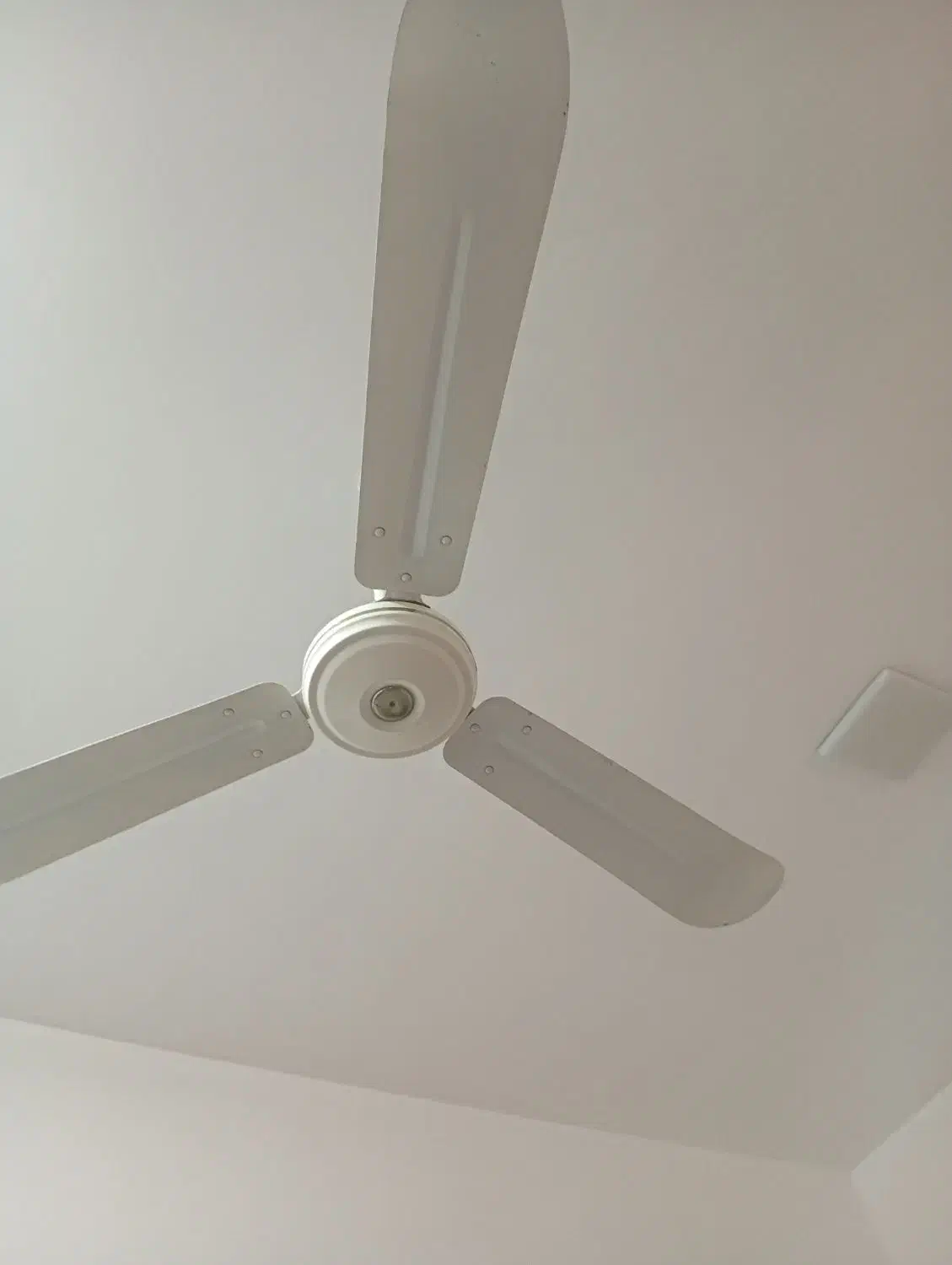 پنکه سقفی|پنکه و تصفیه‌کنندهٔ هوا|بندر ماهشهر, |دیوار