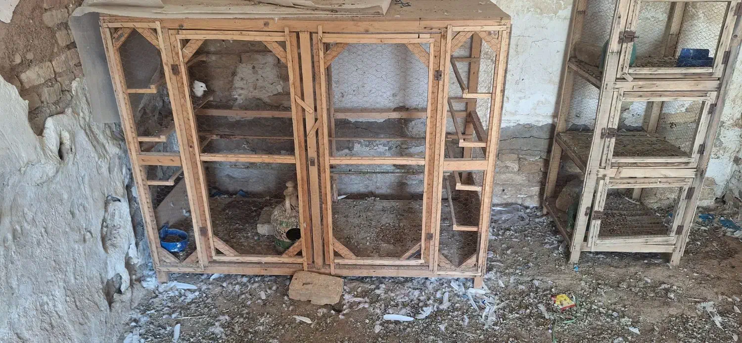 قفس چوبی|لوازم جانبی حیوانات|کاشان, کارخانه سایپا کاشان|دیوار