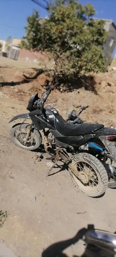 تریل200سی سی مزایده|موتورسیکلت|سارال, |دیوار