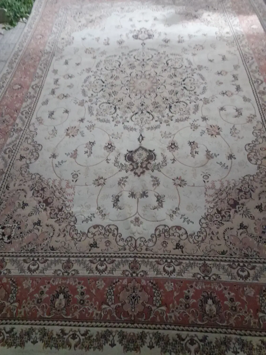 فرش ما شینی|فرش|ارومیه, |دیوار