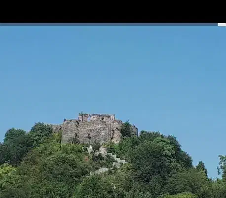 وام|فعالیت داوطلبانه|لیسار, |دیوار