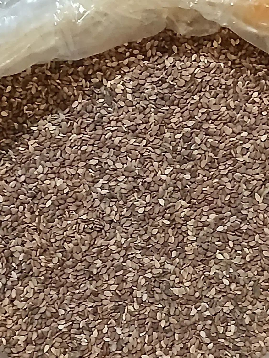 کنجد|عمده‌فروشی|آبدانان, |دیوار