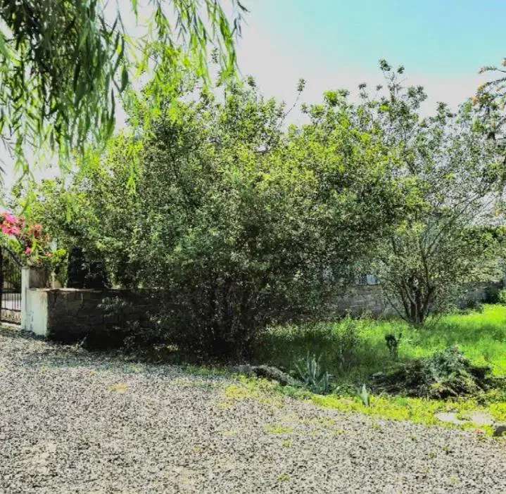 فروش زمین خطیب کلا ۲۰۰متربهترین شهرک سنددار|فروش زمین و ملک کلنگی|چمستان, |دیوار