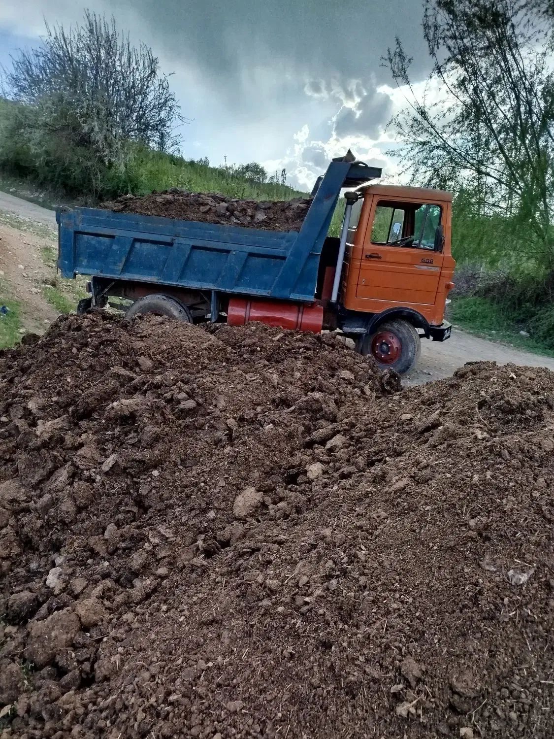 حمل کود حیوانی کود گاوی گوسفندی کود خشک و پوسیده|خدمات باغبانی و درختکاری|بروجرد, |دیوار
