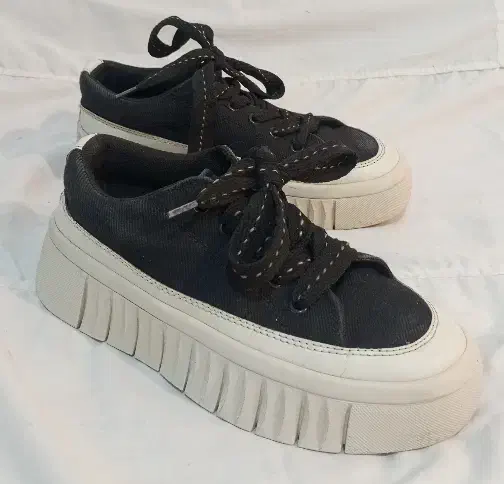 کفش اسپورت سایز۳۶|کیف، کفش، کمربند|اهر, |دیوار