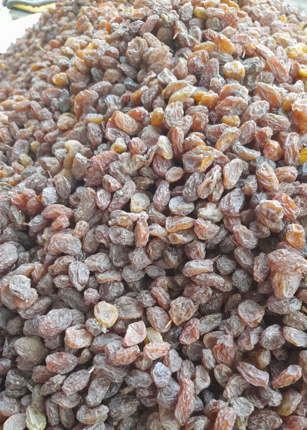 کشمش بیدانه|خوردنی و آشامیدنی|الوند, |دیوار