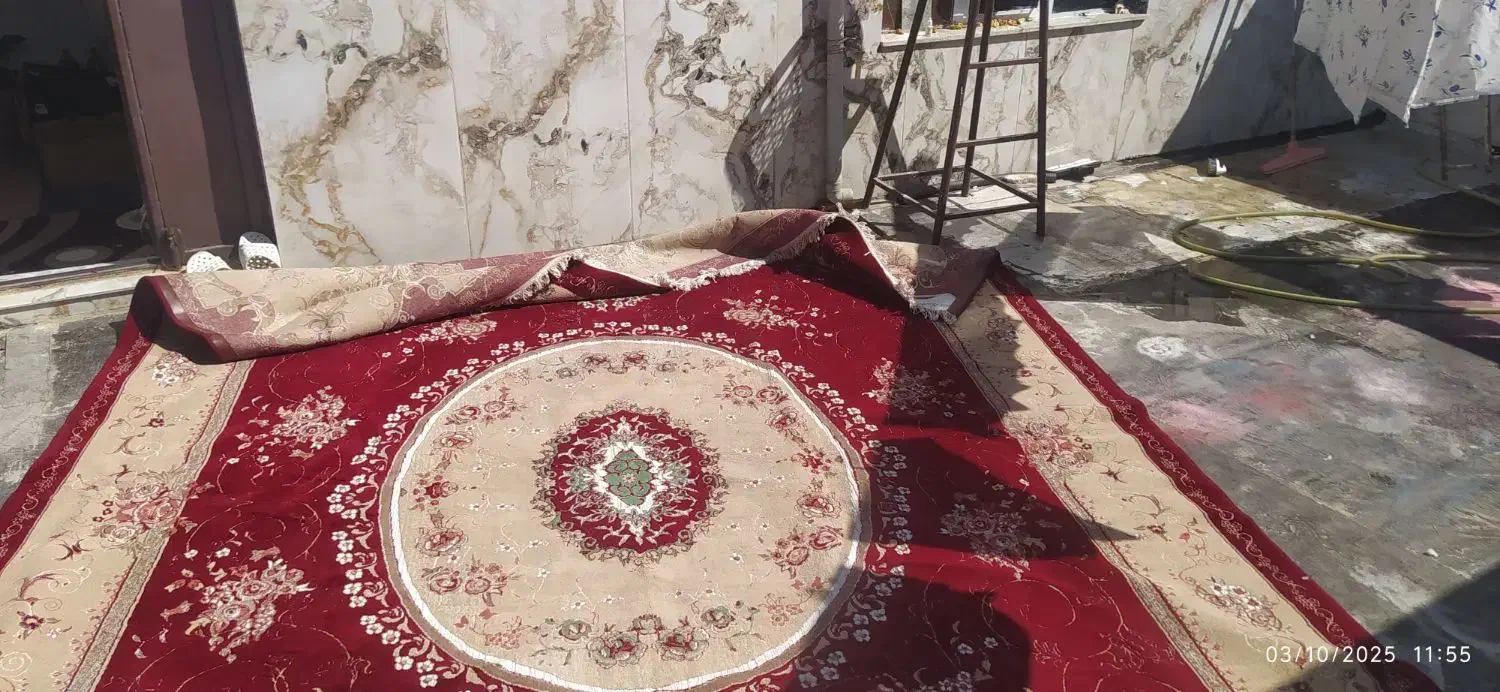 فرش ۱۲ متری|فرش|همدان, |دیوار