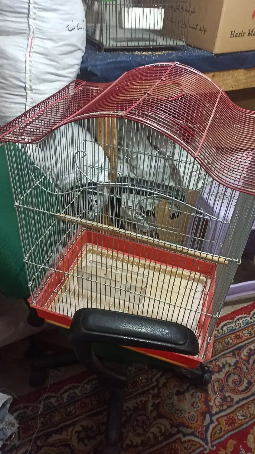 قفس پرنده|لوازم جانبی حیوانات|قرچک, محمد آباد|دیوار