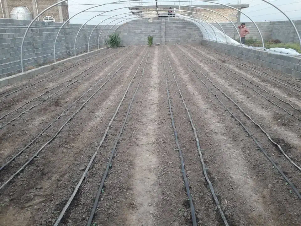 گلخانه|عمده‌فروشی|گنبد کاووس, |دیوار