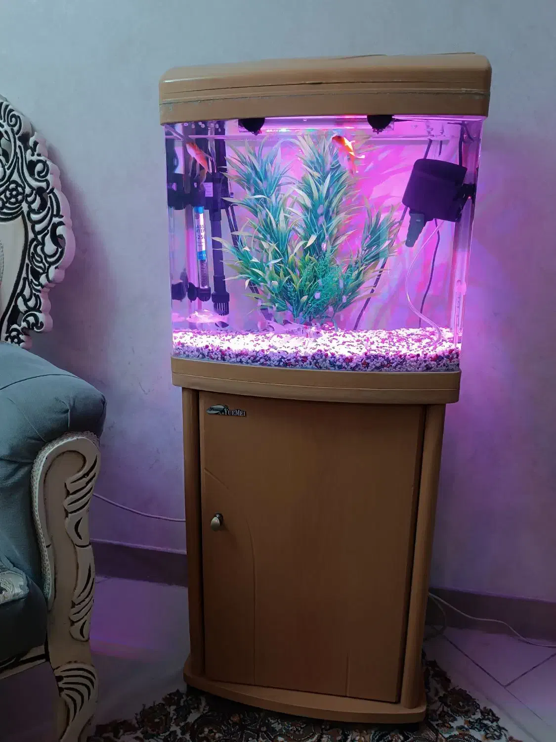 اکواریوم شرکتی|ماهی|تهران, هفده شهریور|دیوار