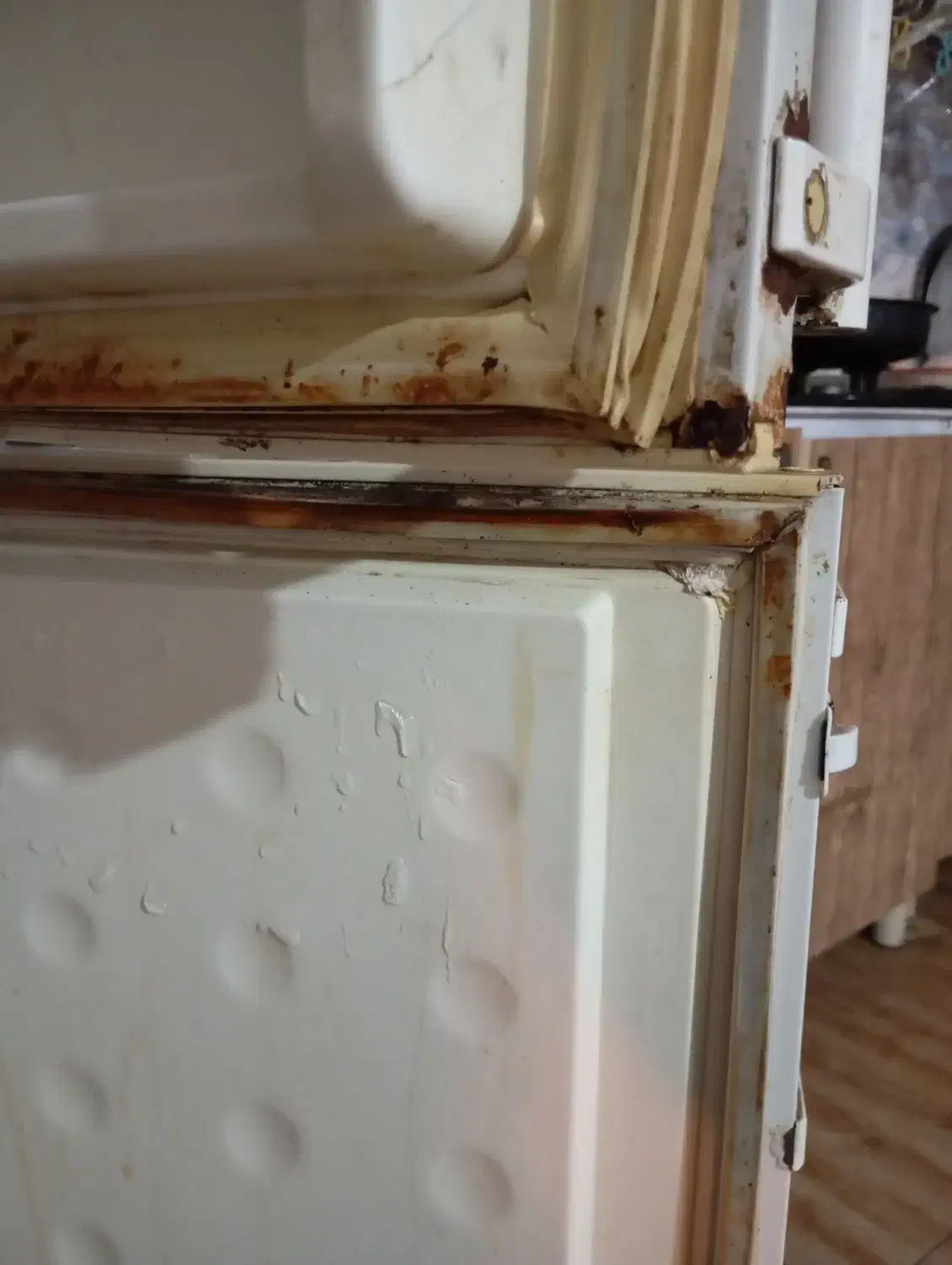 تعمیرات انواع یخچال و فریزر درمنزل|خدمات پیشه و مهارت|بروجرد, |دیوار