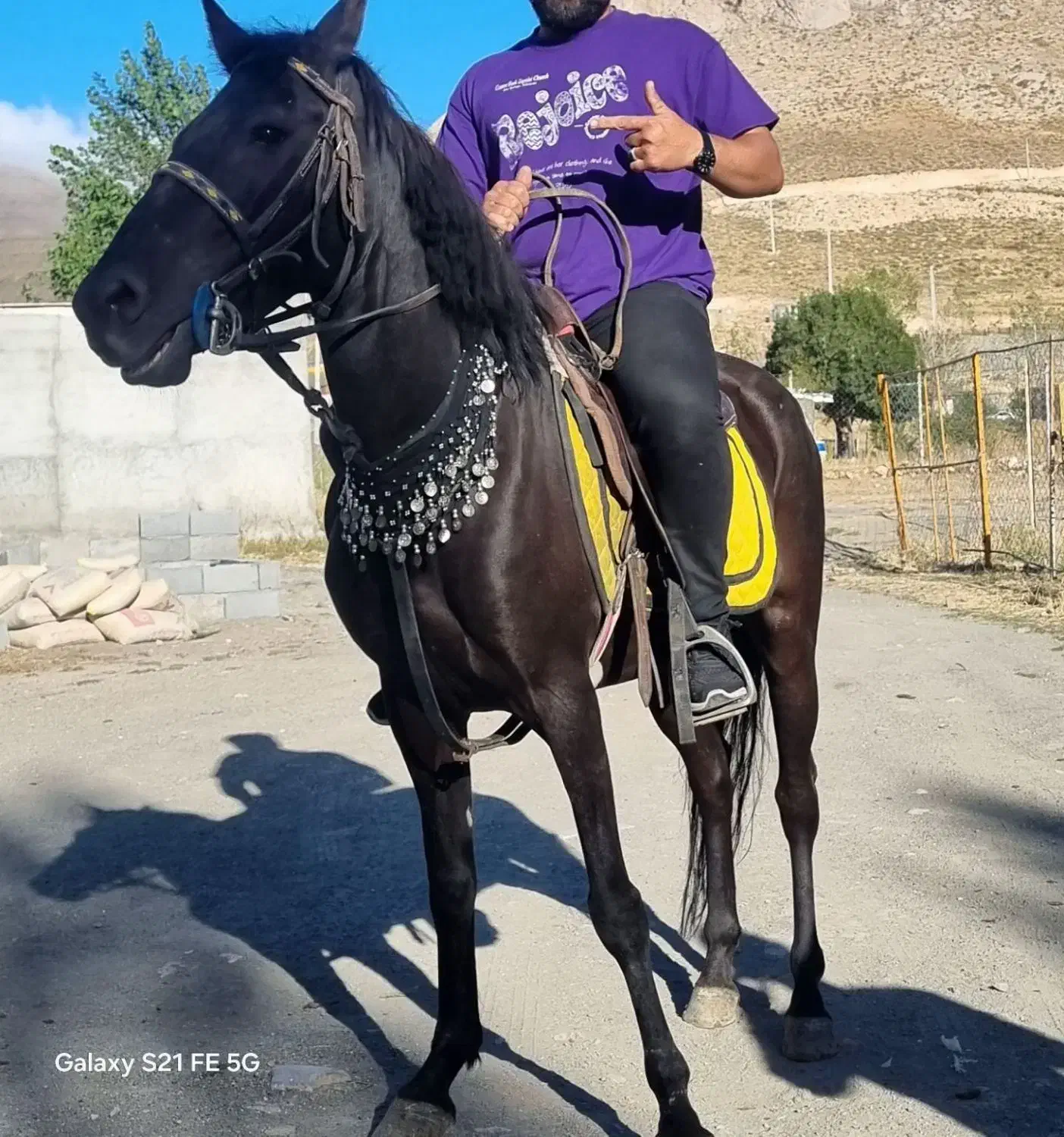 اسب مادیان مشکی ۳ ساله|اسب و تجهیزات اسب‌سواری|اردبیل, |دیوار