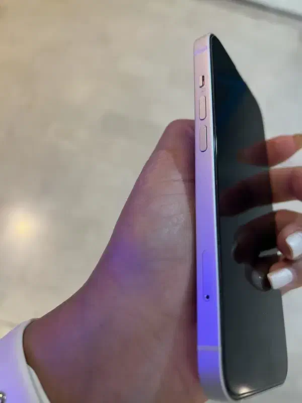 ایفون 13 نرمال|موبایل|کیش, |دیوار