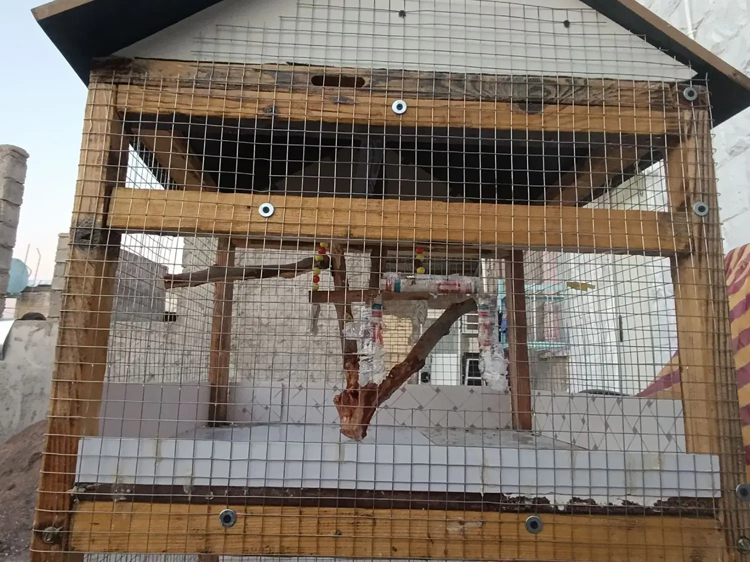 قفس|لوازم جانبی حیوانات|مسجد سلیمان, |دیوار