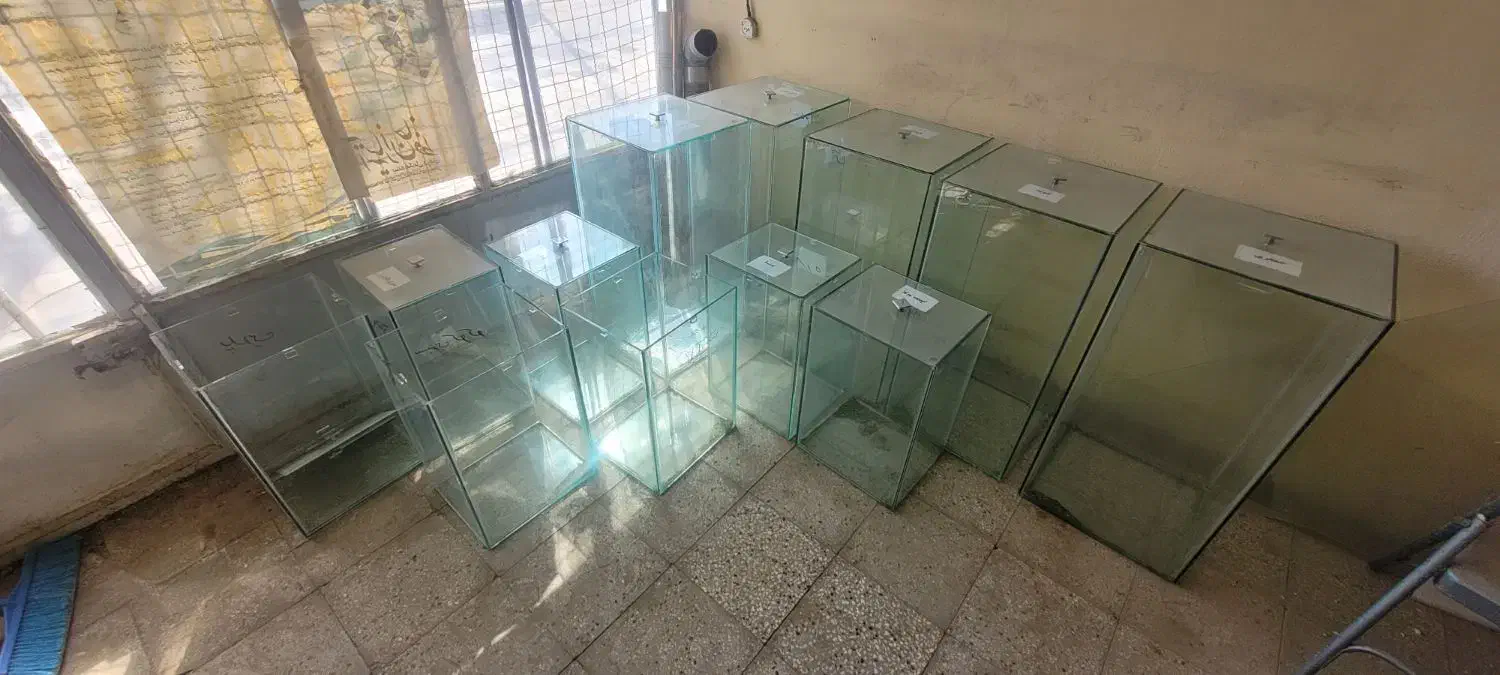 با سلام چند عدد باکس شیشه ای در ابعاد مختلف|فروشگاه و مغازه|کاشمر, |دیوار