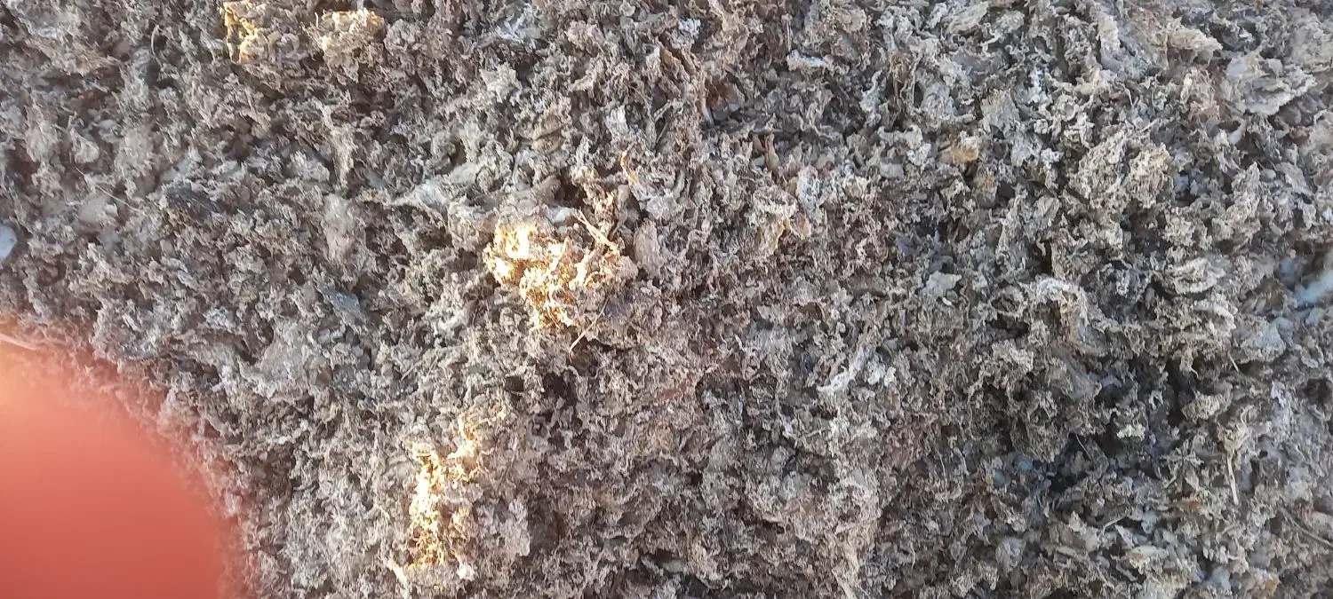 خوراک دام|عمدهفروشی|مهدی شهر, |دیوار