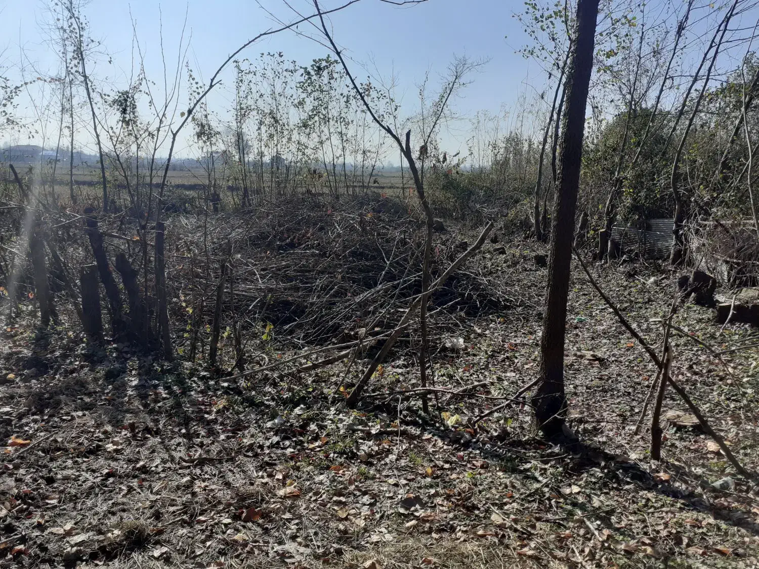 ۲۸۵متر زمین روستایی با نامه بنیاد|فروش زمین و ملک کلنگی|تهران, جنت‌آباد جنوبی|دیوار