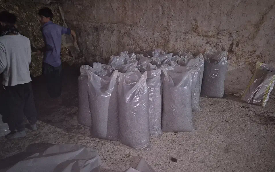 سیلاژ ذرت|عمده‌فروشی|بهبهان, |دیوار